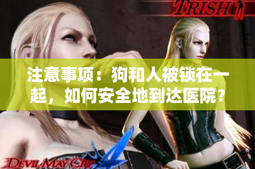 注意事项：狗和人被锁在一起，如何安全地到达医院？