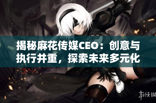 揭秘麻花传媒CEO：创意与执行并重，探索未来多元化发展