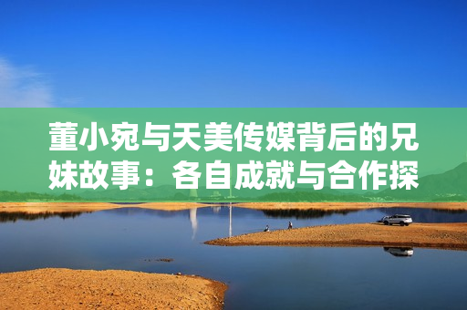 董小宛与天美传媒背后的兄妹故事：各自成就与合作探索