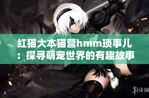红猫大本猫营hmm琐事儿：探寻萌宠世界的有趣故事