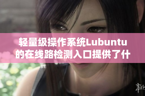 轻量级操作系统Lubuntu的在线路检测入口提供了什么？