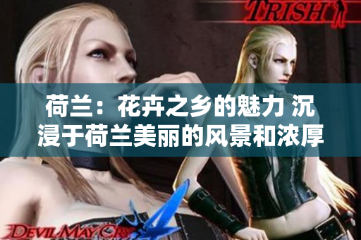 荷兰：花卉之乡的魅力 沉浸于荷兰美丽的风景和浓厚的文化底蕴
