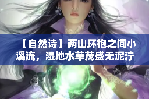 【自然诗】两山环抱之间小溪流，湿地水草茂盛无泥泞