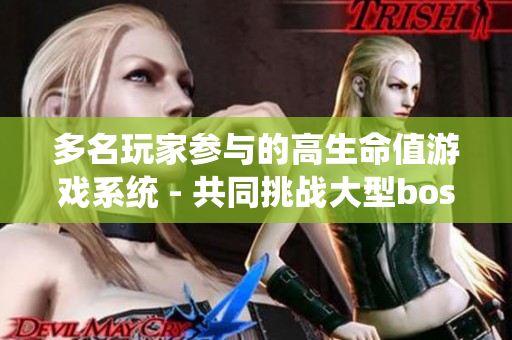 多名玩家参与的高生命值游戏系统 - 共同挑战大型boss和解决挑战