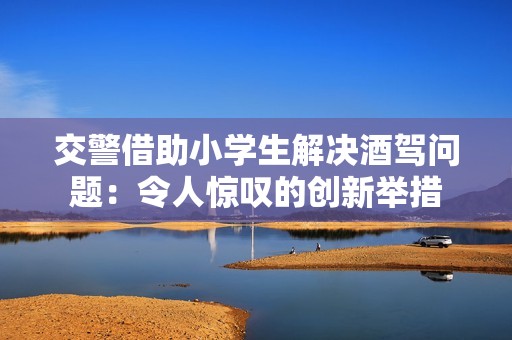 交警借助小学生解决酒驾问题：令人惊叹的创新举措