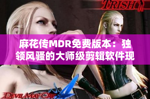 麻花传MDR免费版本：独领风骚的大师级剪辑软件现已免费使用