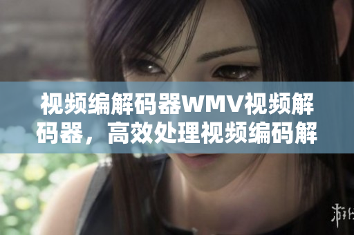 视频编解码器WMV视频解码器，高效处理视频编码解码技术
