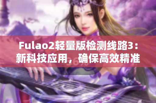 Fulao2轻量版检测线路3：新科技应用，确保高效精准检测