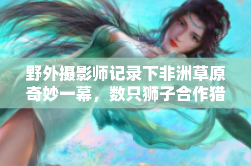 野外摄影师记录下非洲草原奇妙一幕，数只狮子合作猎捕猎物