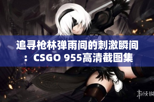 追寻枪林弹雨间的刺激瞬间：CSGO 955高清截图集