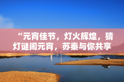 “元宵佳节，灯火辉煌，猜灯谜闹元宵，苏秦与你共享”