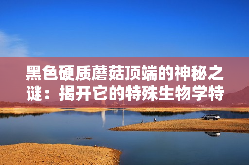 黑色硬质蘑菇顶端的神秘之谜：揭开它的特殊生物学特征