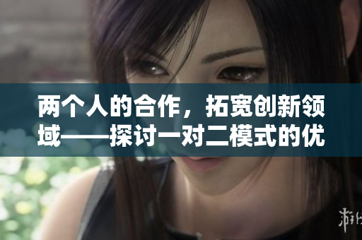 两个人的合作，拓宽创新领域——探讨一对二模式的优势与挑战