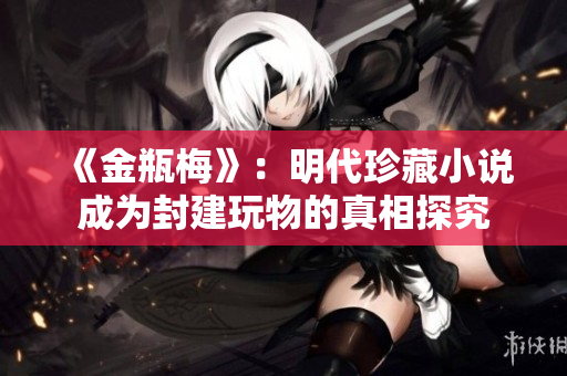 《金瓶梅》：明代珍藏小说成为封建玩物的真相探究
