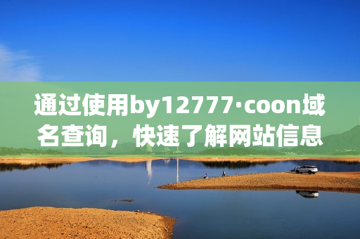 通过使用by12777·coon域名查询，快速了解网站信息