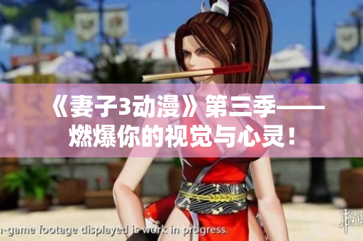 《妻子3动漫》第三季——燃爆你的视觉与心灵！