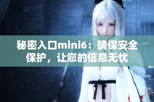 秘密入口mini6：确保安全保护，让您的信息无忧