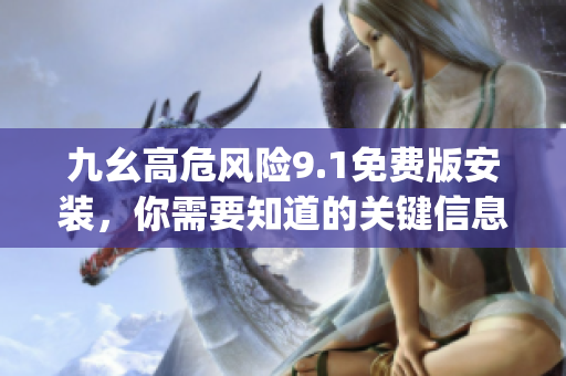 九幺高危风险9.1免费版安装，你需要知道的关键信息(1)