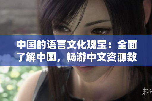 中国的语言文化瑰宝：全面了解中国，畅游中文资源数据库8