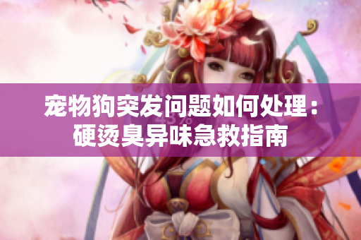 宠物狗突发问题如何处理：硬烫臭异味急救指南