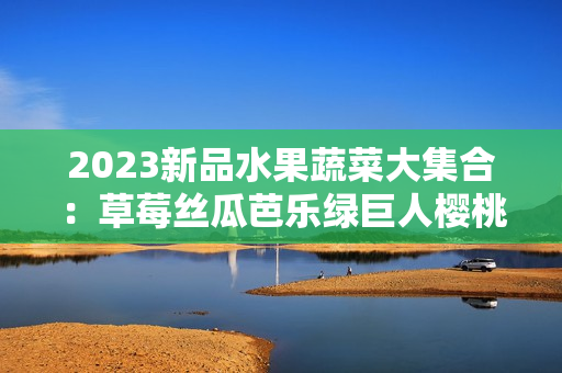 2023新品水果蔬菜大集合：草莓丝瓜芭乐绿巨人樱桃秋葵缤纷亮相！