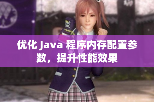 优化 Java 程序内存配置参数，提升性能效果