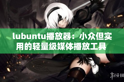 lubuntu播放器：小众但实用的轻量级媒体播放工具 