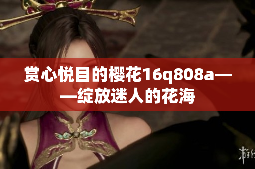 赏心悦目的樱花16q808a——绽放迷人的花海