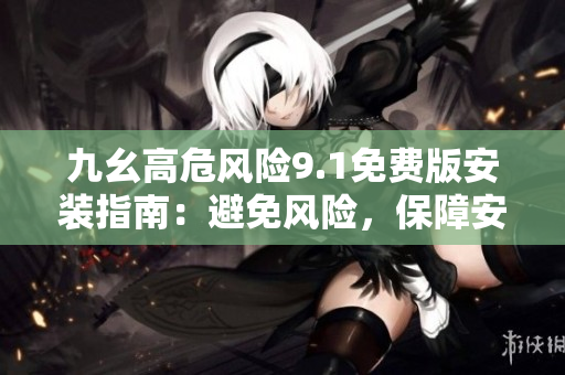 九幺高危风险9.1免费版安装指南：避免风险，保障安全
