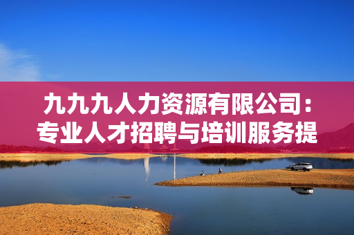 九九九人力资源有限公司：专业人才招聘与培训服务提供商