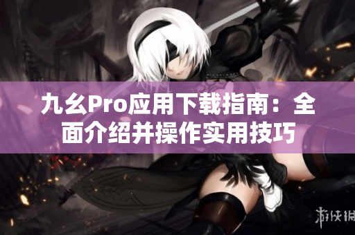 九幺Pro应用下载指南：全面介绍并操作实用技巧