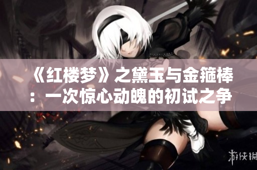 《红楼梦》之黛玉与金箍棒：一次惊心动魄的初试之争