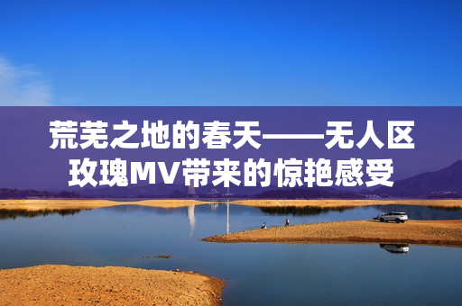 荒芜之地的春天——无人区玫瑰MV带来的惊艳感受
