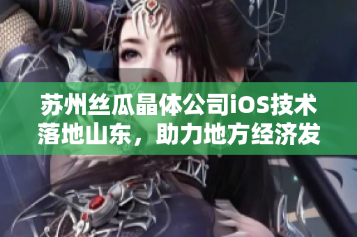 苏州丝瓜晶体公司iOS技术落地山东，助力地方经济发展