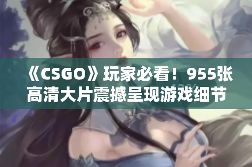 《CSGO》玩家必看！955张高清大片震撼呈现游戏细节！