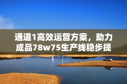 通道1高效运营方案，助力成品78w75生产线稳步提升