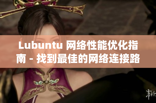 Lubuntu 网络性能优化指南 - 找到最佳的网络连接路线(1)