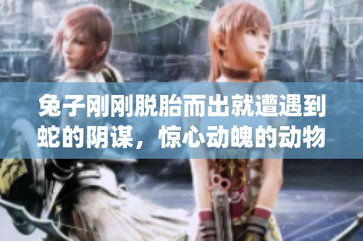 兔子刚刚脱胎而出就遭遇到蛇的阴谋，惊心动魄的动物故事【笔趣阁】(1)
