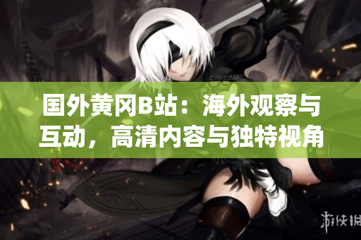 国外黄冈B站：海外观察与互动，高清内容与独特视角(1)