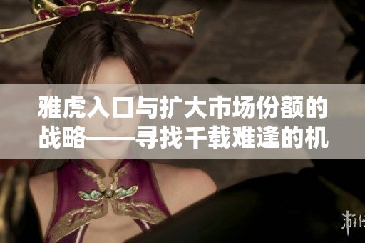 雅虎入口与扩大市场份额的战略——寻找千载难逢的机会