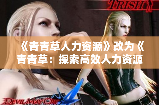 《青青草人力资源》改为《青青草：探索高效人力资源管理之道》