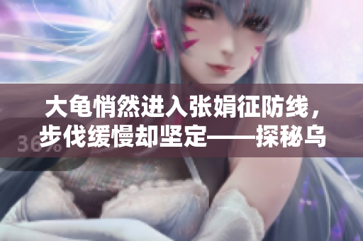 大龟悄然进入张娟征防线，步伐缓慢却坚定——探秘乌龟挑战者的征途