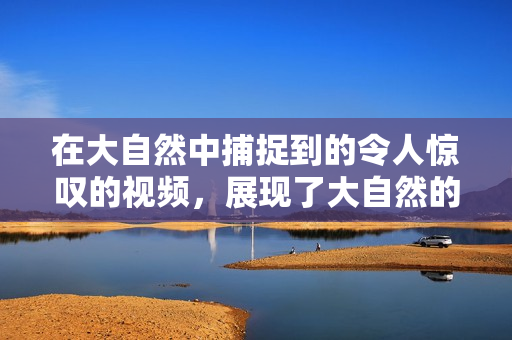 在大自然中捕捉到的令人惊叹的视频，展现了大自然的绚丽之美