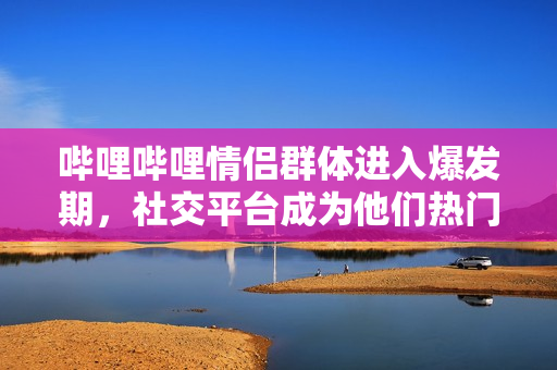 哔哩哔哩情侣群体进入爆发期，社交平台成为他们热门聚集地