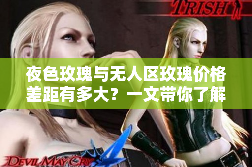 夜色玫瑰与无人区玫瑰价格差距有多大？一文带你了解