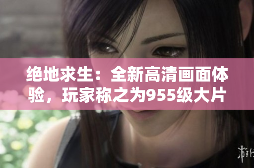绝地求生：全新高清画面体验，玩家称之为955级大片