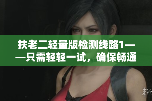 扶老二轻量版检测线路1——只需轻轻一试，确保畅通无阻
