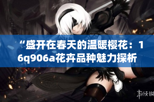 “盛开在春天的温暖樱花：16q906a花卉品种魅力探析”