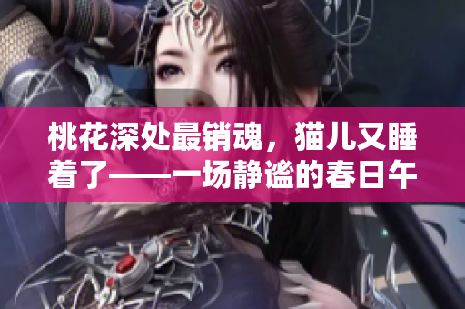 桃花深处最销魂，猫儿又睡着了——一场静谧的春日午后