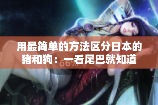 用最简单的方法区分日本的猪和狗：一看尾巴就知道